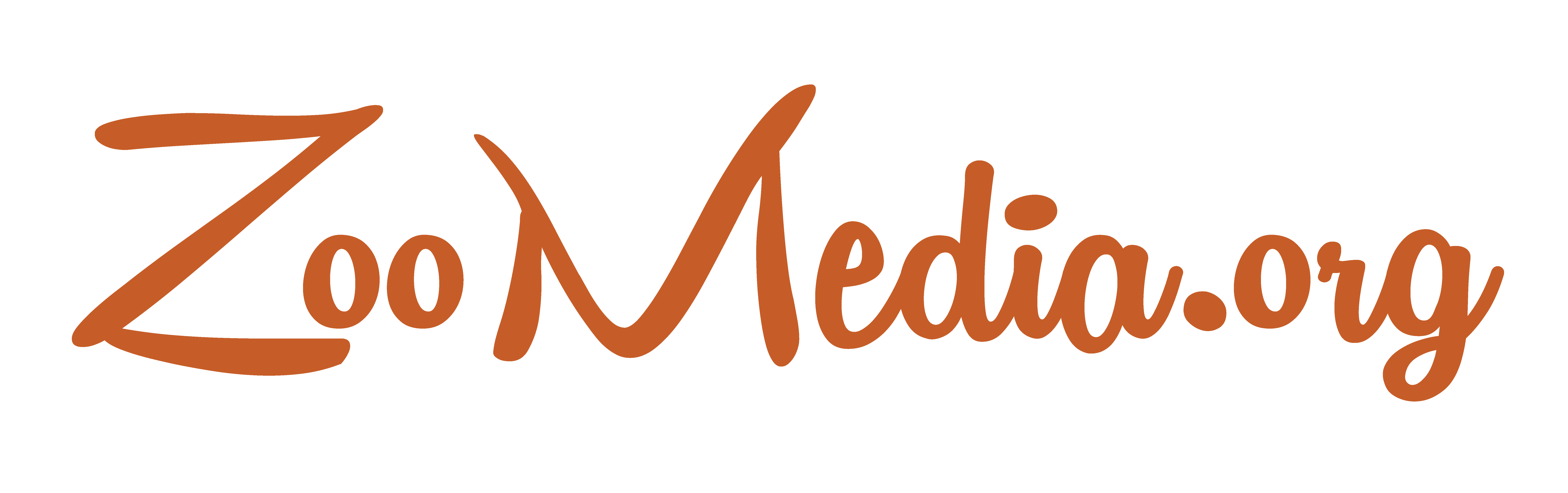 zoomedia.org_logo-01-01